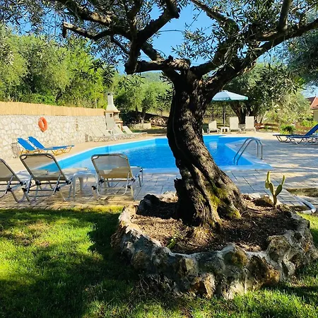 Olive Grove Poolside Benitses (Corfu)