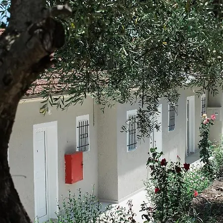 Olive Grove Poolside