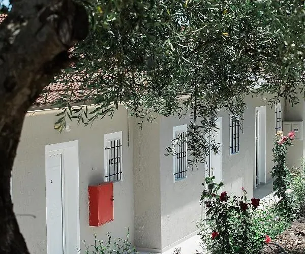 Olive Grove Poolside