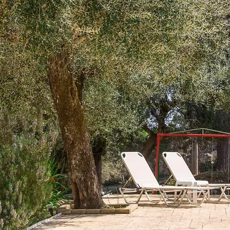 Olive Grove Poolside * Benitses (Corfu)