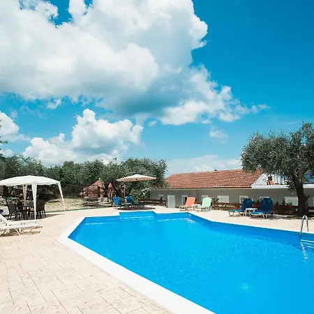 Olive Grove Poolside *