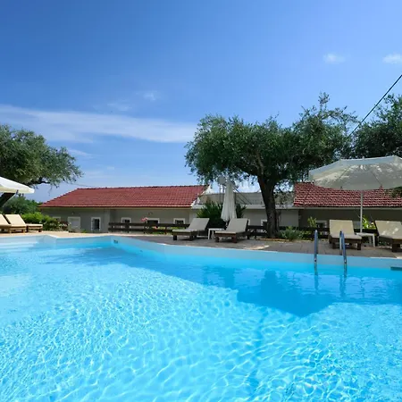 Olive Grove Poolside *