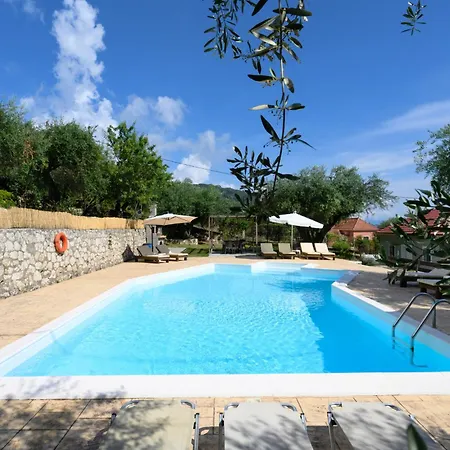 Olive Grove Poolside *