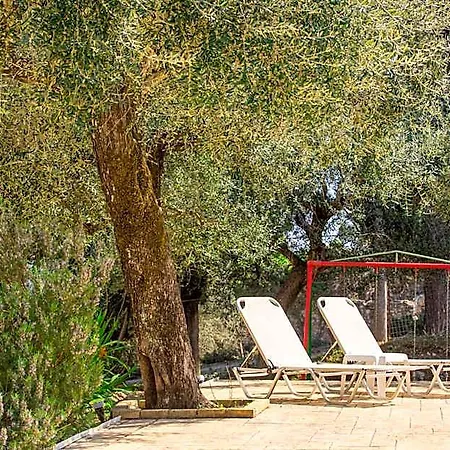 Olive Grove Poolside 4* Benitses (Corfu)