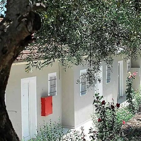 Aparthotel Olive Grove Poolside