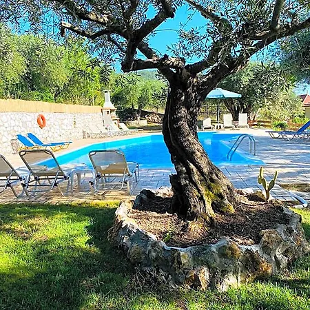 Apartahotel Olive Grove Poolside 4*