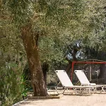 Olive Grove Poolside 3* Benícesz