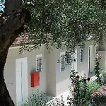 Olive Grove Poolside