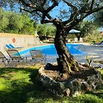 Olive Grove Poolside Benícesz