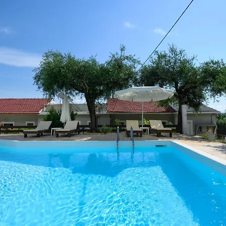 Olive Grove Poolside